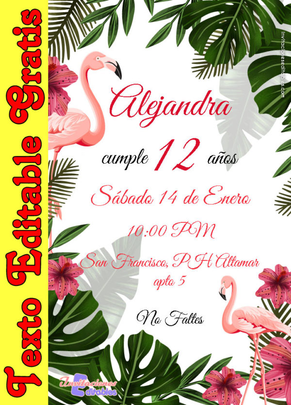 Invitación de Flamenco para editar